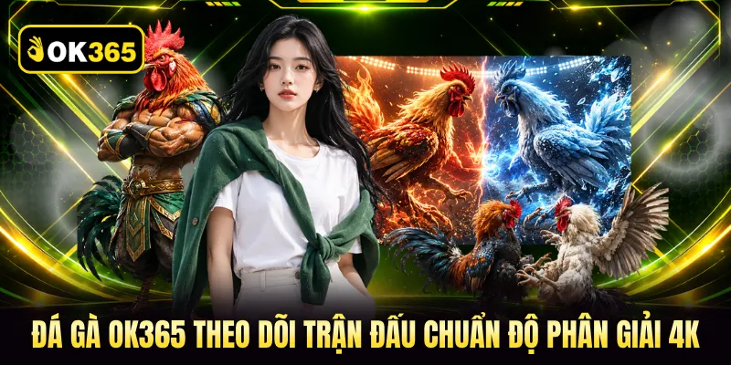 Đá gà OK365 theo dõi trận đấu chuẩn độ phân giải 4K